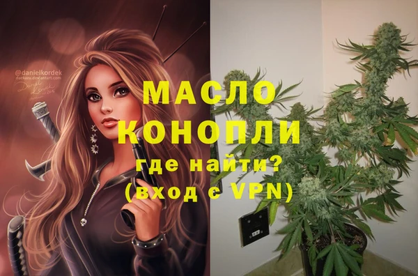мдпв Володарск