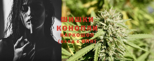 МДПВ Волоколамск