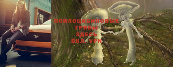 МДПВ Волоколамск