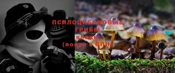 мдпв Володарск