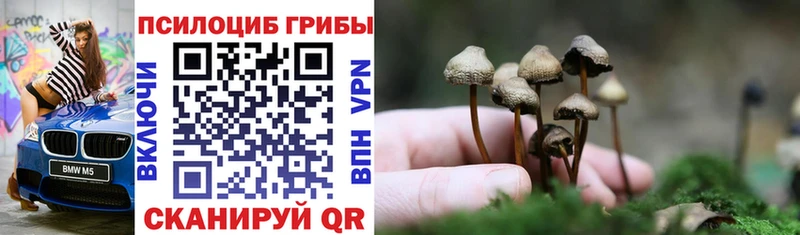 Псилоцибиновые грибы мухоморы Купить закладки Липецк